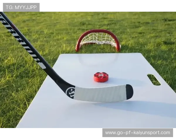 冰球练习场地升级，山东新兴聚乙烯板材助力冬季训练，冰球比赛用球材料